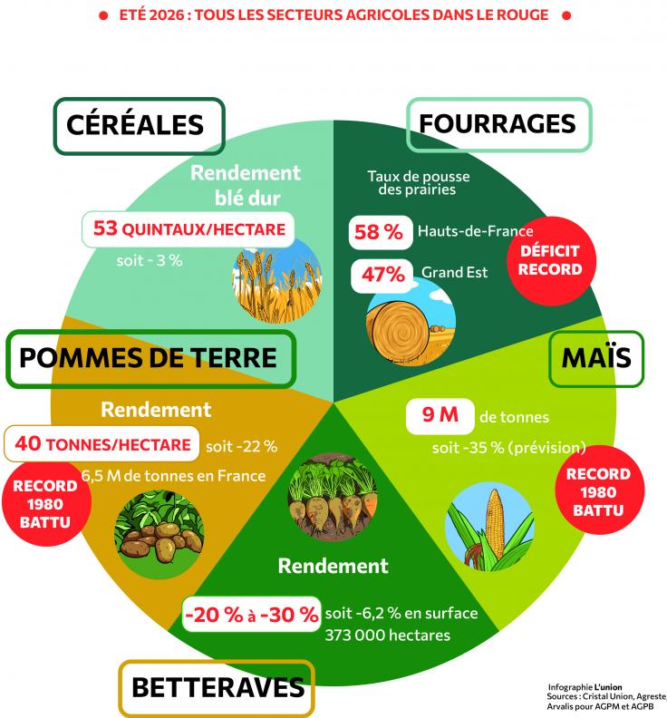 Infographie : rendements agricoles 2026